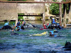 descente de la Sorgue